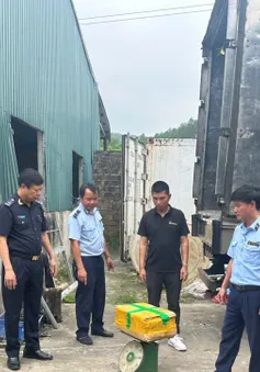 Phát hiện kho lạnh chứa 25 tấn mực, chân gà, sách bò bốc mùi, không rõ nguồn gốc