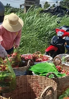 EU gia tăng kiểm soát chất lượng nông sản
