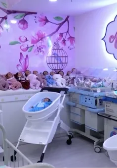 Cơn sốt búp bê em bé “siêu giống thật” ở Brazil