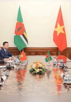 Việt Nam coi trọng tăng cường quan hệ với Cộng đồng Thịnh vượng Dominica
