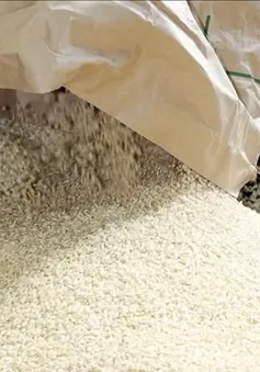 Nhật Bản hỗ trợ khu vực nông thôn ứng phó giá gạo leo thang
