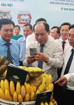 Từ nông dân đến doanh nhân số: Bình Dương đổi mới nông nghiệp