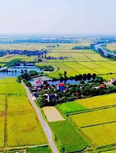 Ngày 30/5, hạn cuối nộp giấy đề nghị gia hạn tiền thuế, tiền thuê đất