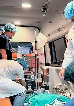 Giành lại sự sống cho bé gái 11 tuổi nhờ ECMO lưu động giữa đêm từ Hà Nội đến Ninh Bình