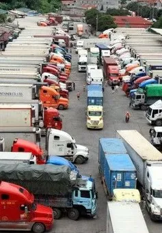 Thiết lập "luồng xanh" để nông sản tăng tốc sang Trung Quốc