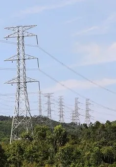 Đẩy nhanh tiến độ dự án đường dây 500 kV Lào Cai - Vĩnh Yên