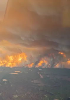 Cháy rừng lan nhanh, hơn 17.000 người ở Manitoba (Canada) phải sơ tán