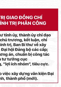 Infographic: Phấn đấu hoàn thành sắp xếp cấp xã trước 15/7, cấp tỉnh trước 15/8
