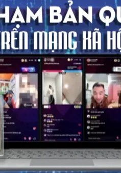 Vi phạm bản quyền từ thói quen “miễn phí”