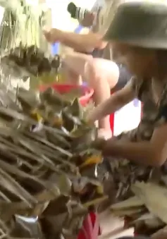 Rộn ràng làng nghề bánh ú tro dịp Tết Đoan Ngọ