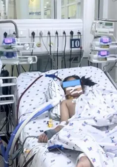 “Cánh cửa hẹp” mở ra nhờ ECMO: Bé gái hồi phục sau gần 6 tuần nguy kịch