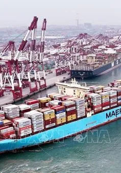 Bất định về thuế quan gia tăng với ngành vận tải biển