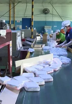 Dự thảo Luật Việc làm (sửa đổi): Hỗ trợ toàn diện cho người thất nghiệp