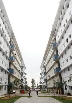 Chính sách đột phá phát triển nhà ở xã hội: Cắt giảm thủ tục, mở rộng cơ hội an cư