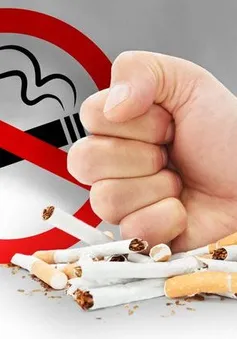 TP Hồ Chí Minh phát động chiến dịch "vạch trần sự hấp dẫn giả tạo" của thuốc lá