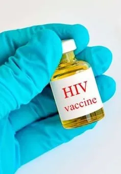 Phát triển loại vaccine có thể vô hiệu hóa gần 70% chủng virus HIV