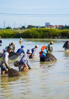 Hàng trăm người dân Quảng Bình lội bùn bắt cá dịp Tết Đoan Ngọ
