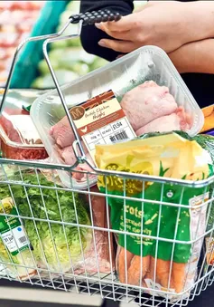 Ngày đầu hộ kinh doanh triển khai hóa đơn điện tử