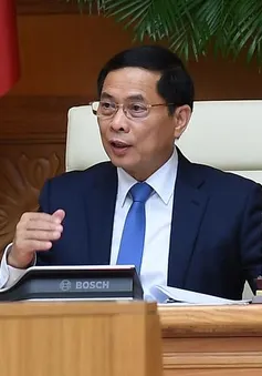 Phó Thủ tướng Bùi Thanh Sơn tiếp đoàn chuyên gia, nhà khoa học Việt Nam ở nước ngoài