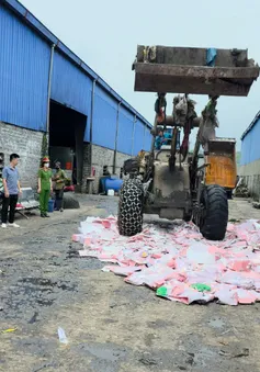 Tiêu hủy gần 2.000 gấu bông “Baby Three” chứa chất độc hại