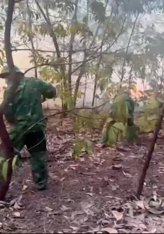 Bộ đội Biên phòng TP Huế huy động lực lượng phối hợp chữa cháy rừng