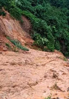 Đề phòng lũ quét, sạt lở đất ở Gia Lai và Đắk Nông