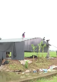 Vĩnh Phúc: Làm rõ trách nhiệm vụ ồ ạt xây dựng trên đất nông nghiệp