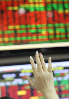 VN-Index tăng trở lại