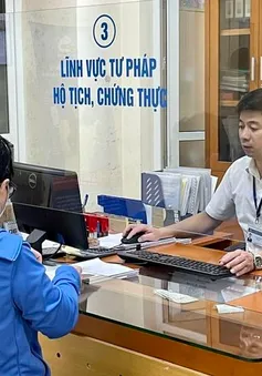 Đề xuất xã, phường, đặc khu trên 60.000 dân được thành lập thêm phòng chuyên môn
