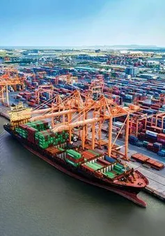 Cước vận tải biển tăng mạnh
