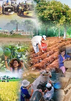 Thành lập Ban Chỉ đạo Trung ương các chương trình mục tiêu quốc gia giai đoạn 2021 - 2025