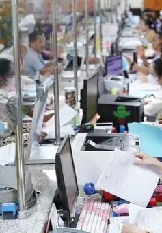 Dự thảo Nghị định quy định về xử lý kỷ luật cán bộ, công chức, viên chức