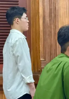 Đi xe máy tự ngã khiến bà ngoại tử vong, nam thanh niên lĩnh án