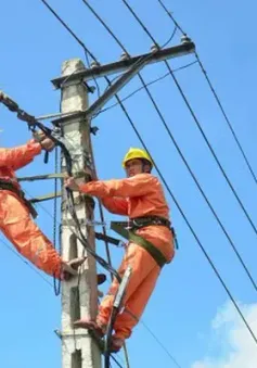 Công suất tiêu thụ điện tại miền Bắc vượt đỉnh năm 2024