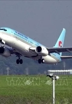 Giá vé hàng không toàn cầu được dự báo hạ nhiệt
