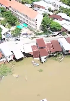 Sạt lở 'bủa vây' Đồng bằng sông Cửu Long