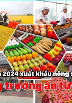 Việt Nam - Hoa Kỳ thúc đẩy hợp tác xuất nhập khẩu nông sản