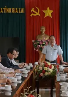 Thanh tra toàn diện Công ty TNHH Một thành viên cà phê Gia Lai
