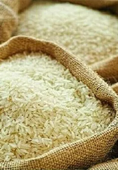 Chính phủ Nhật Bản nỗ lực giảm giá gạo