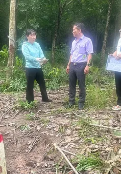 Nhiều hộ dân giao mặt bằng làm cao tốc mà chưa cần nhận đền bù