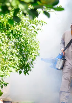 Phản ánh điểm nguy cơ sốt xuất huyết qua ứng dụng của ngành Y tế