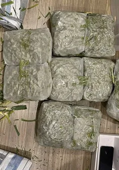 Triệt phá đường dây mua bán hơn 200kg cần sa trên không gian mạng