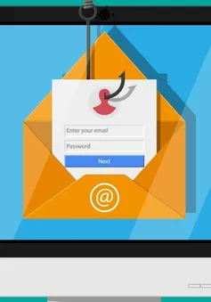 Cách nhận diện website giả mạo để tránh bẫy lừa đảo trực tuyến