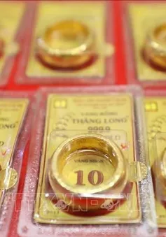 Mỗi lượng vàng tăng nửa triệu đồng