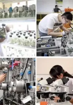 Tháo gỡ vướng mắc cho các doanh nghiệp đổi mới sáng tạo