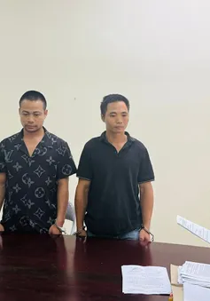 Bắt giam cán bộ hải quan ở Lào Cai vì khai thác gỗ rừng trái phép
