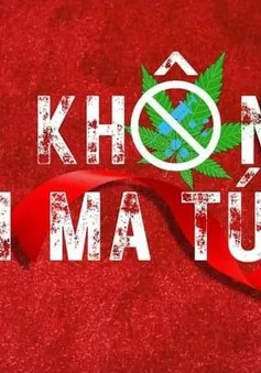 Xã trọng điểm, phức tạp ma tuý loại I được phân bổ tối thiểu 500 triệu đồng/năm
