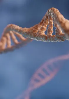 Phát hiện gene đột biến giúp con người khỏe mạnh dù chỉ ngủ 3 tiếng mỗi đêm
