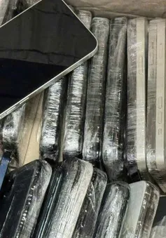 Hải quan Nội Bài phát hiện 112 chiếc iPhone cũ giấu trong người và hành lý xách tay
