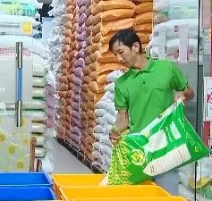 Sức mua gạo ST25 giảm trước thông tin bị làm giả